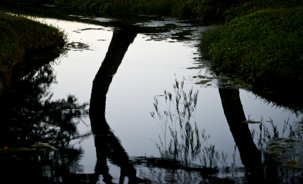 Bull Branch Park Water