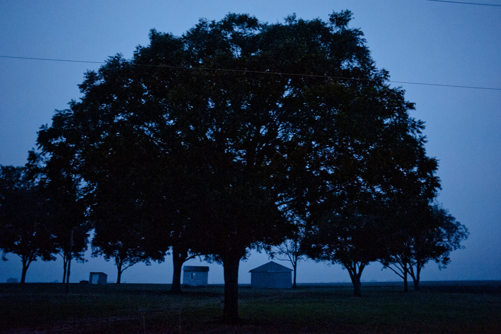 Early November Morning