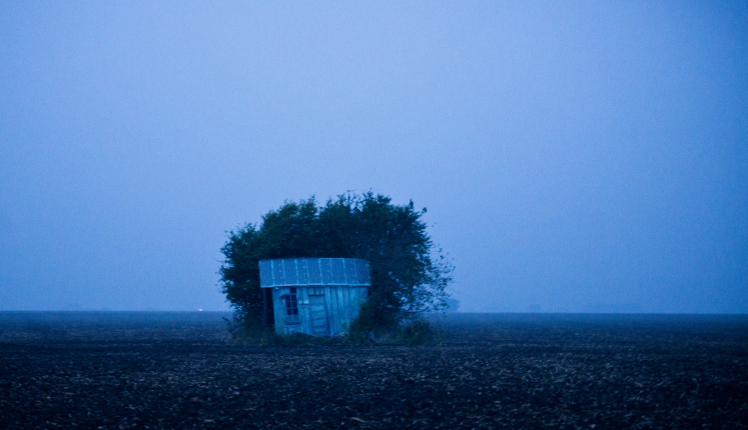 Early November Morning