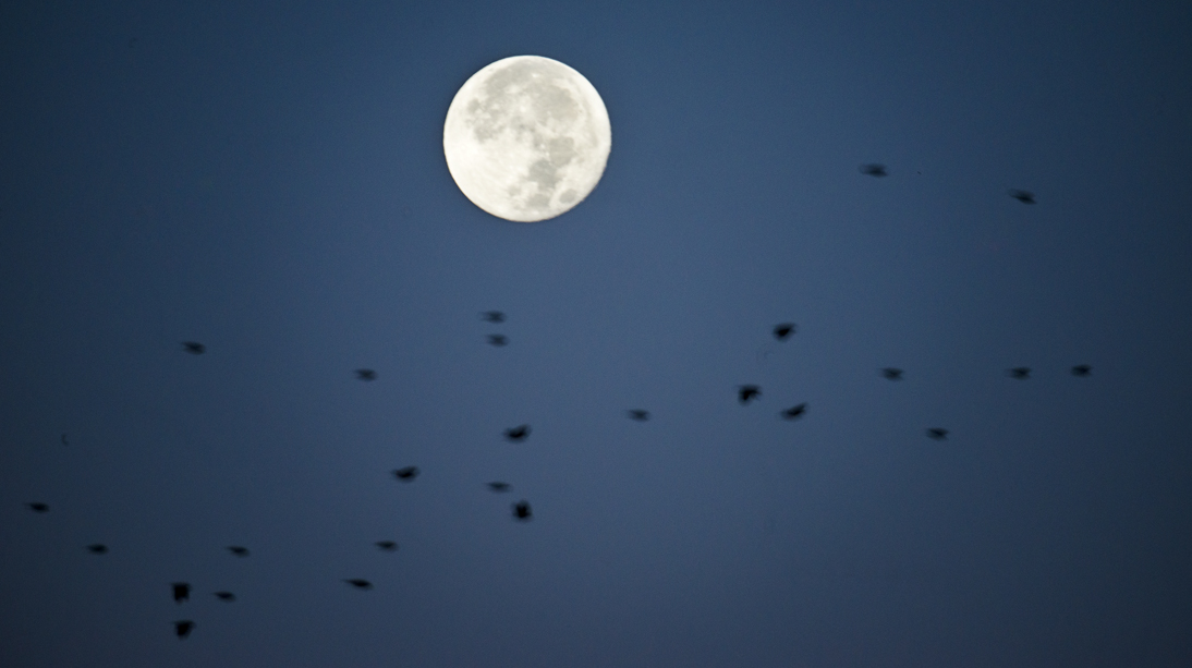 Moonset Super Moon