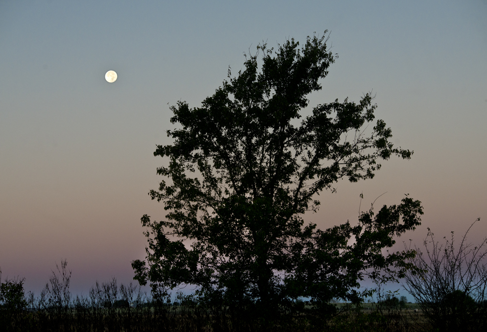 Moonset Super Moon