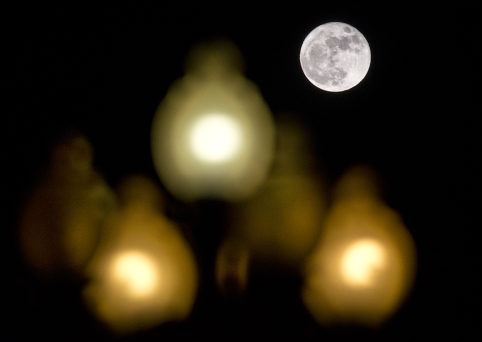 November Super Moon