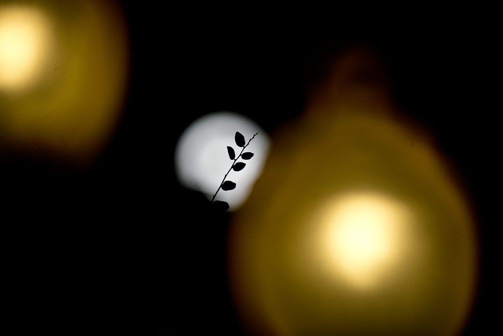 November Super Moon