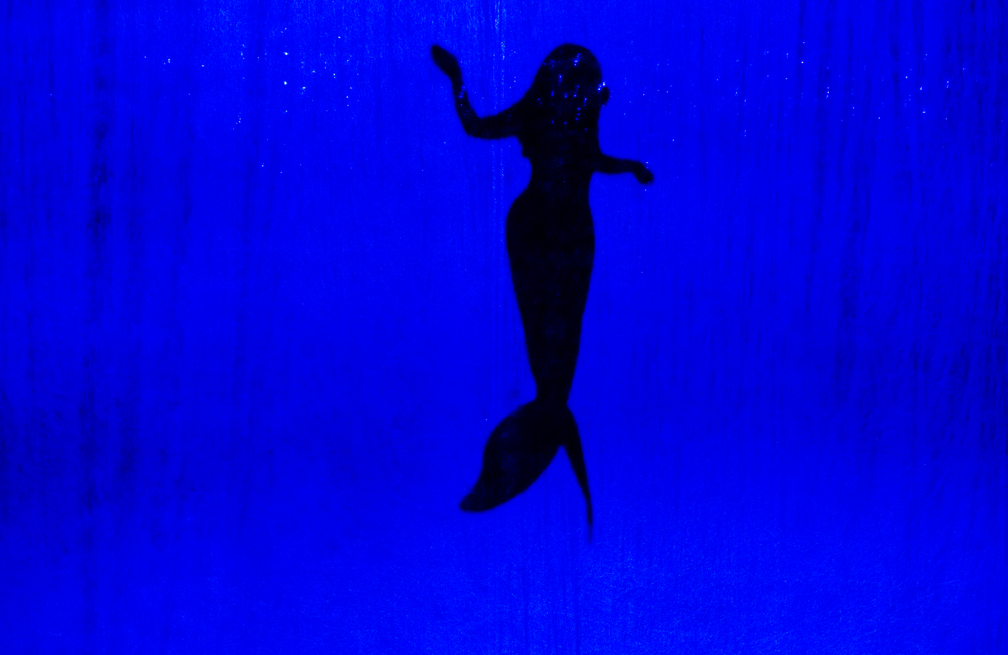 The Little Mermaid