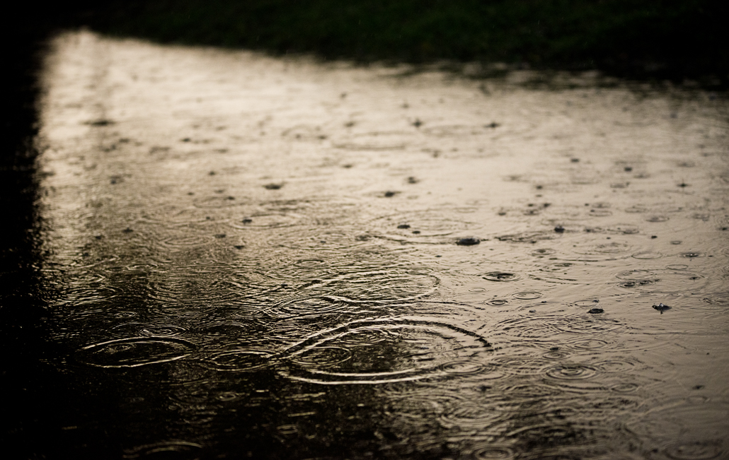 Wet Park & Bench