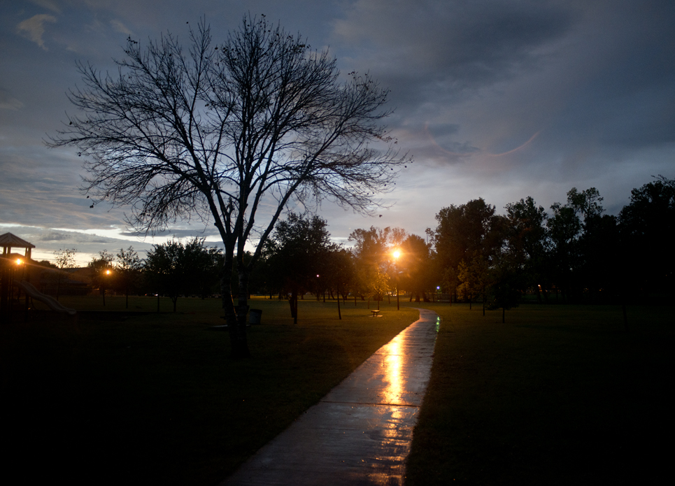 Wet Park & Bench