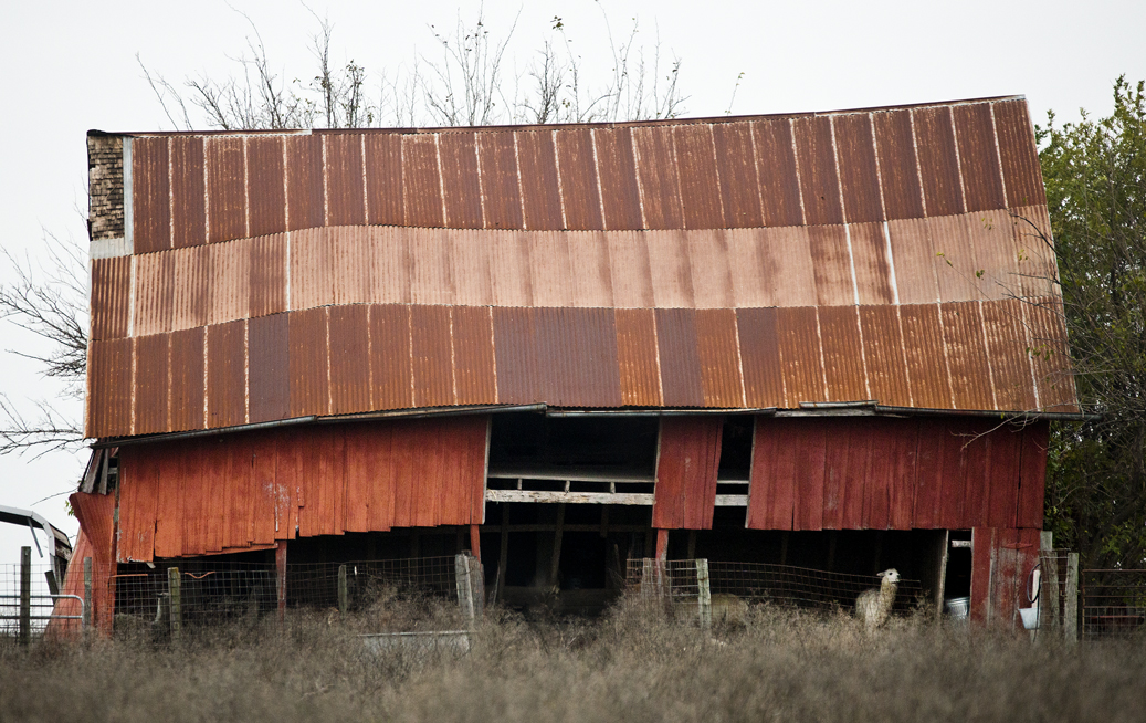 Noel Barn